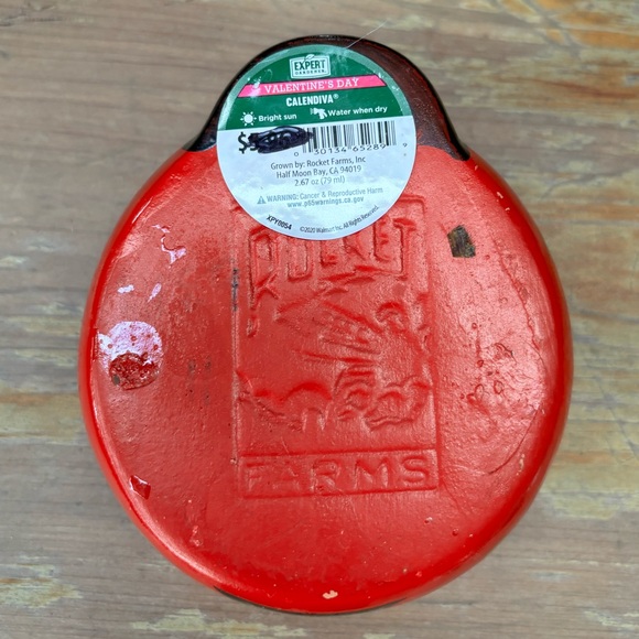 Rocket Farms Red Lovebug Ladybug Mini Planter Gold Polka Dots - Picture 8 of 10